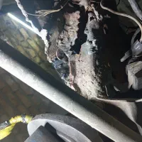 جوشکاری شاستی ترک شکستگی ضمانتیCo2 در۱۳۲سفیدفابریک|خدمات موتور و ماشین|کرج, ملکآباد|دیوار