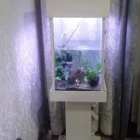 آکواریوم کامل با وسایل 2تومن|ماهی|قرچک, زیبا شهر|دیوار