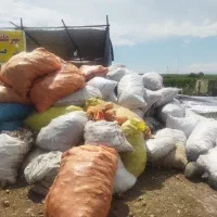 فروش سیر دشت مغان بدون واسطه