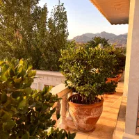 باغ ویلای همراه با سونا و جکوزی|اجارهٔ کوتاه‌مدت ویلا و باغ|کاشمر, |دیوار