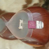 تعویض تار حرفه ای با گیتار الکتریک