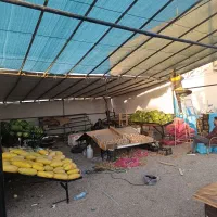 واگذاری غرفه یا مغازه میوه فروشی