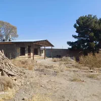 باغ دور دیوار|فروش زمین و ملک کلنگی|تربتحیدریه, حیدرآباد|دیوار