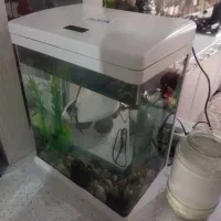 آکواریوم شیشه خم