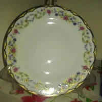 بشقاب میوه خوری