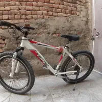 دوچرخا حرفه ای 24 TRINX