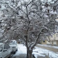 سوله بهداشتی مجهز