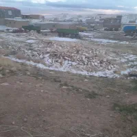 زمین۴۰۰متری روستای میرکی