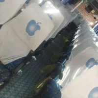 اتوبوس|خودرو سنگین|شیراز, ارم|دیوار