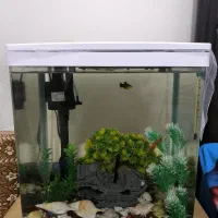 آکواریوم دلسا k390