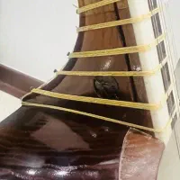 تار با مهر استاد گلستانی|سازهای سنتی|تهران, تهرانسر شمالی|دیوار