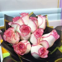 رز ممتاز درجه یک