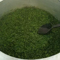 سبزی قورمه