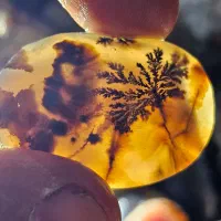 مقداری راف و نگین شجر|جواهرات|کرمان, |دیوار