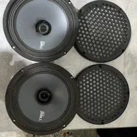 میدرنج سایز۸برندACVروسیه