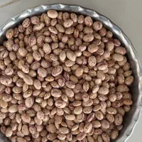 لوبیا چیتی