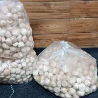 ۳۰کیلوکشک گوسفندی خالص