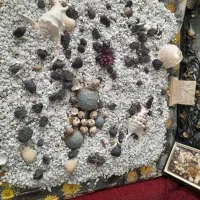 سنگ آکواریوم|ماهی|بافت, |دیوار