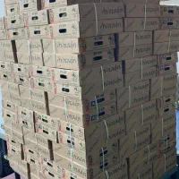 آووکادو عمده|عمده‌فروشی|جوادآباد, |دیوار