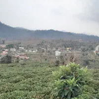 فروش زمین۵۸۰متری/سندتک برگ/شهراطاقور/کاربری مسکونی