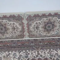 ۶ عدد پشتی سالم سالم