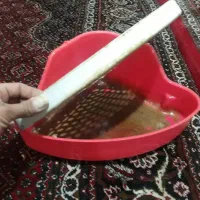 ظرف دستشویی خرگوش و جوندگان