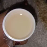 روغن شترمرغ