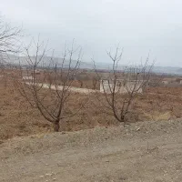 فروش باغ انگوری|فروش زمین و ملک کلنگی|ملایر, |دیوار