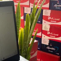 باطری خودرو