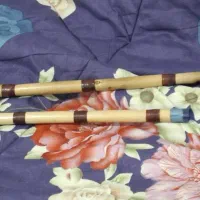 دف نی دایره