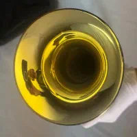 ترومپت باخ TR300 آمریکا|سازهای بادی|اصفهان, کشاورزی|دیوار