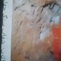 شهاب‌سنگ کمیاب و گرانبها در زرند|کلکسیون اشیاء عتیقه|زرند, |دیوار