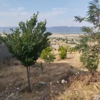 باغشهری آب و برق دار سیاخ دارنگون باغ شهری