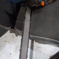 هرس کاری درخت وقعت درخت