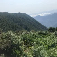 فروش قطعه زمین