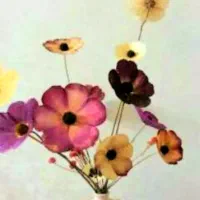 گل ، شاخه گل خشک ، دسته گل خشک|گل و گیاه طبیعی|مشهد, هنرستان|دیوار
