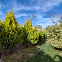 رهن واجاره۴۰۰مترفلت مناسب باشگاه وسالن بر بهمنیار