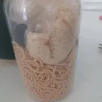 منجوق..مروارید ریز