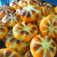 فروشنده خانم