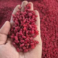 زرشک پفکی لوکس