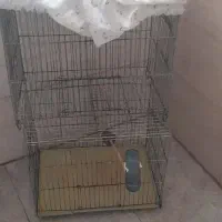 قفس پرنده