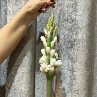 فروش شمع های دستساز|صنایع دستی و سایر لوازم تزئینی|اندیمشک, |دیوار