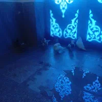 2000|حیوانات مزرعه|دهگلان, |دیوار