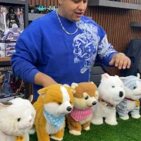 سگ و گربه حسگردار هوشمند قلاده دار پولیشی|اسباب‌‌بازی|چهاردانگه (تهران), |دیوار