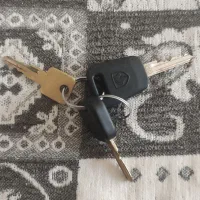 دسته کلید خودرو پیدا کردم