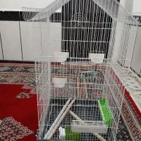 حمیدیه|لوازم جانبی حیوانات|سوسنگرد, |دیوار