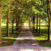 پیاده روی وطبیعت تراپی