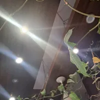 برق و تعمیرات برق ساختمان
