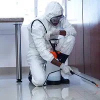 سمپاشی حشرات