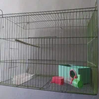 لانه پرنده